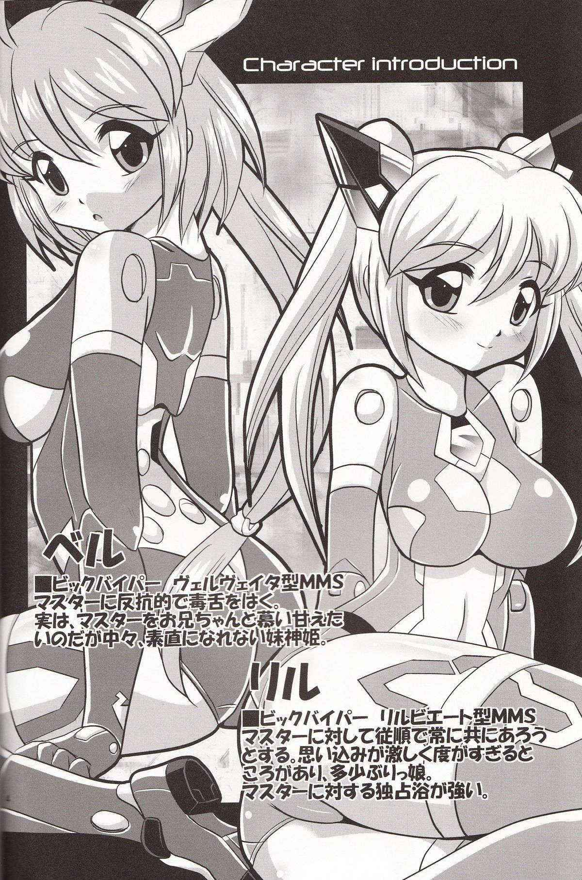 (C84) [Misuterutein (Oborogumo Takamitsu)] VH2 (Busou Shinki)