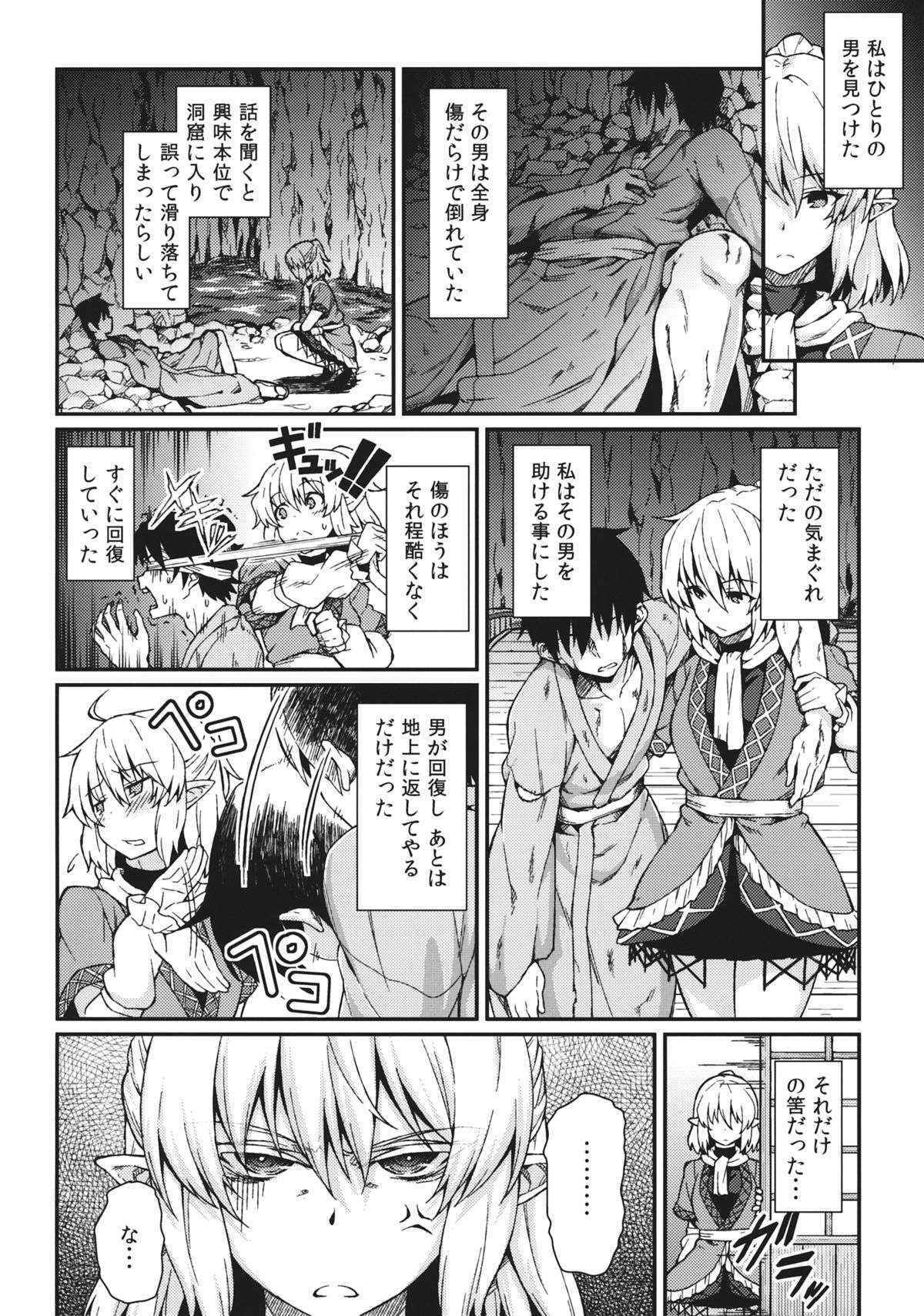 (Kouroumu 9) [Hirojuu Renshuuchou (Hiroya)] Kanojo no Hitomi wa Naniiro ka (Touhou Project)