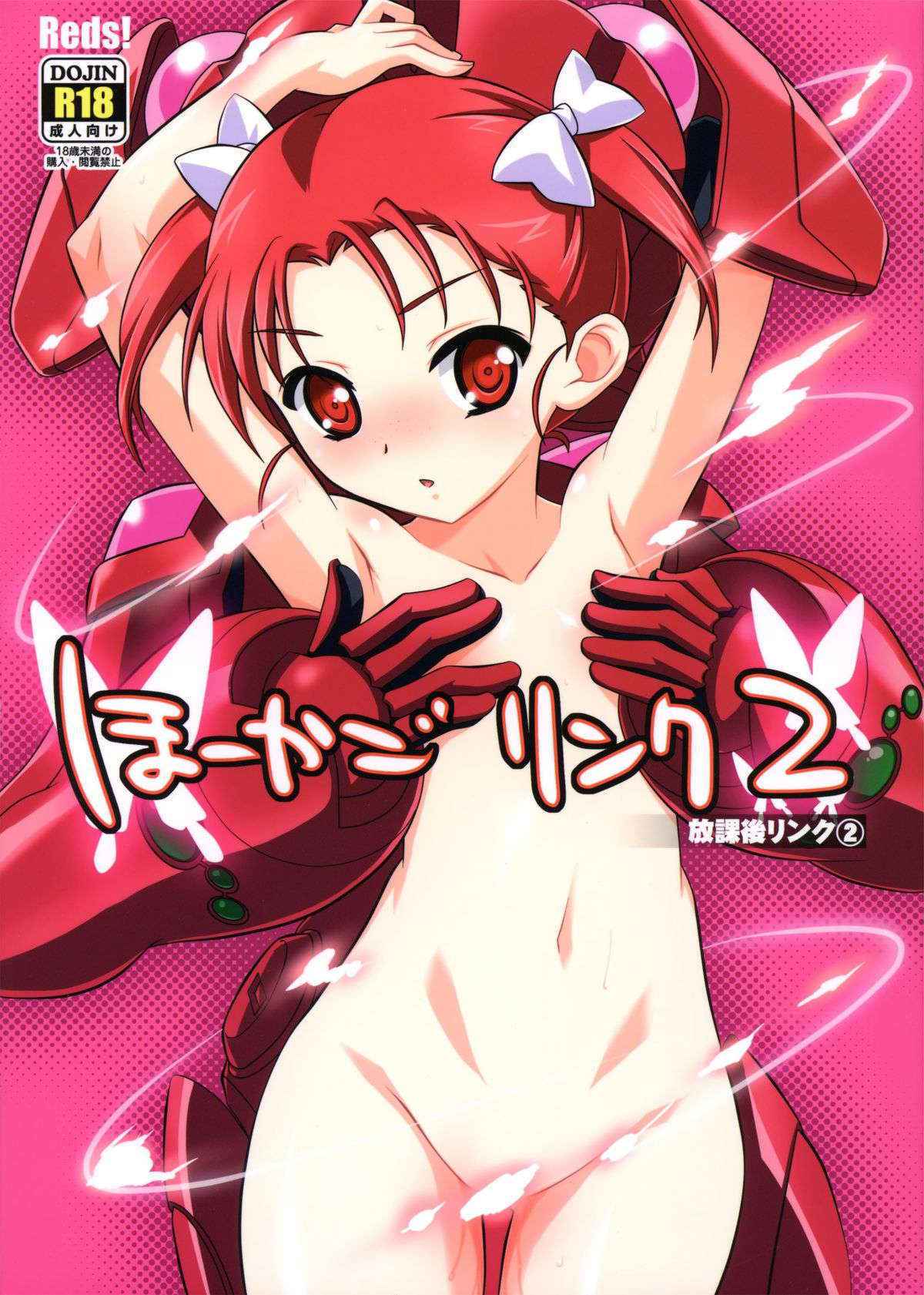 (C84) [Reds! (Aotsuki Hirotada)] Hookago Link 2 (Accel World)