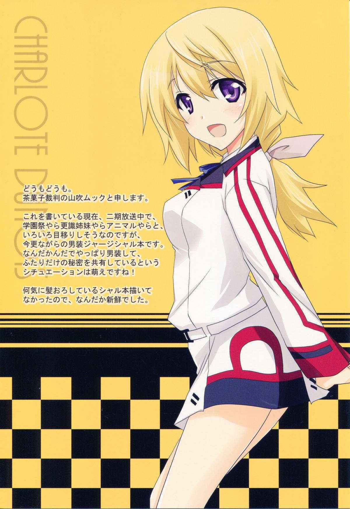 (C85) [CHAGASHI SAIBAN (Yamabuki Mook)] Naisho no Roommate (Infinite Stratos)