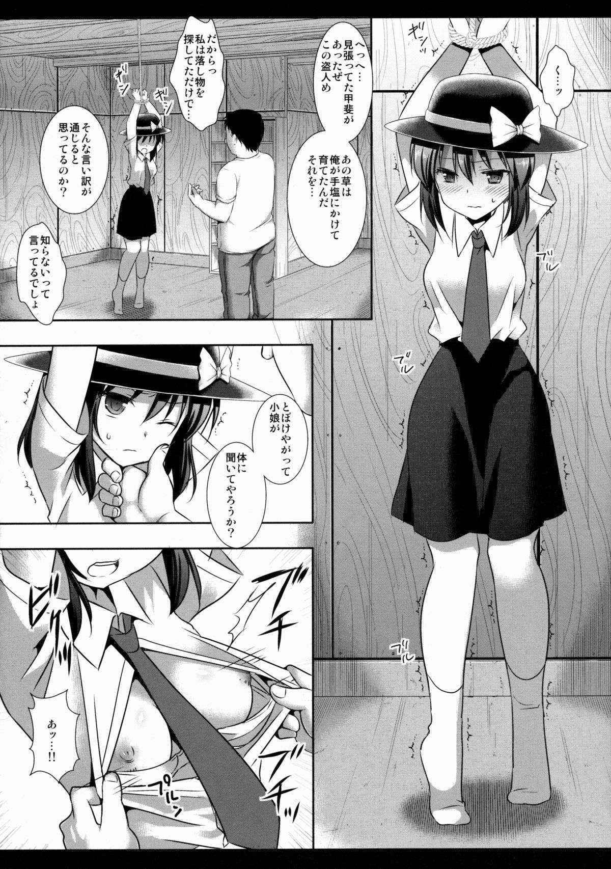 (C88) [Nagiyamasugi (Nagiyama)] Hifuu Ryoujoku 4 Renko Okusuri Jikken (Touhou Project)