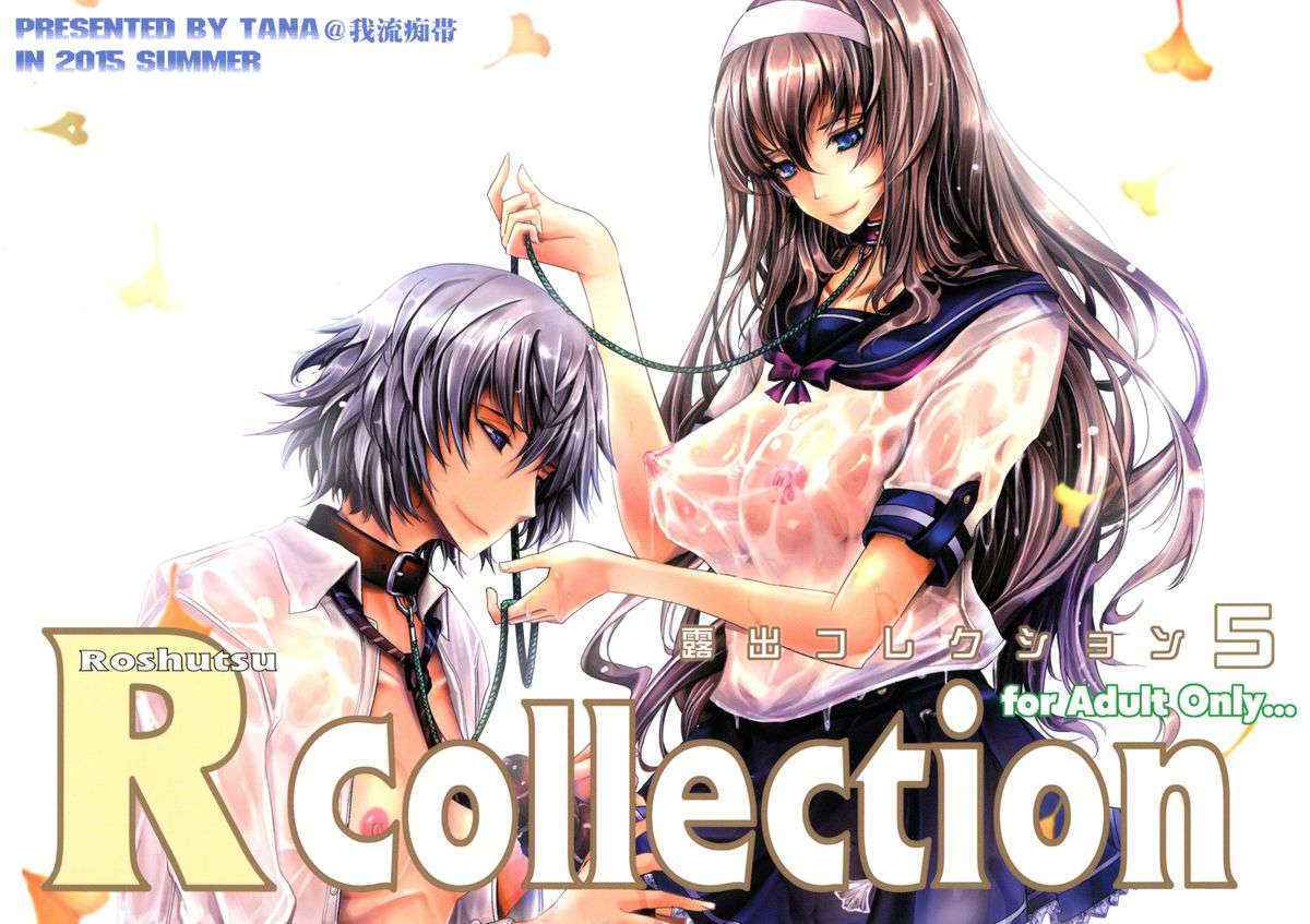 (C88) [Garyuh-Chitai (TANA)] Roshutsu Collection 5