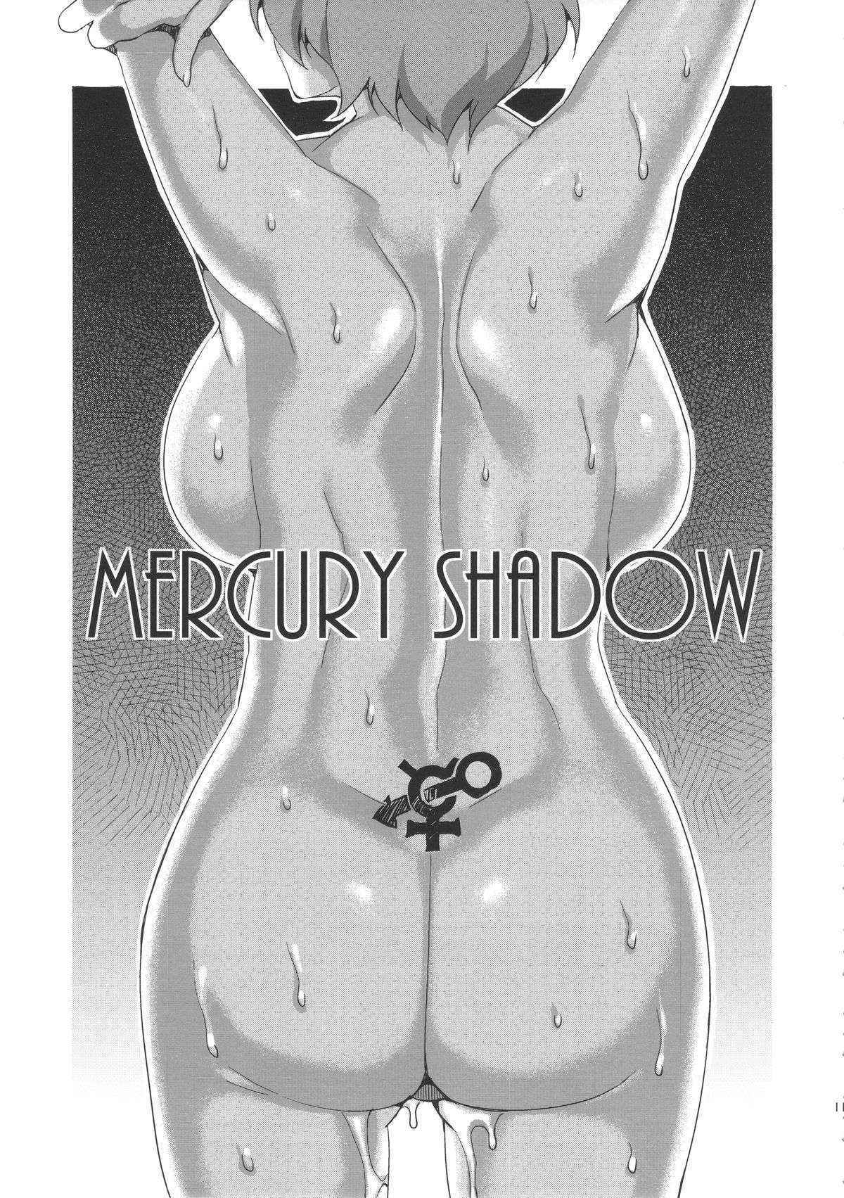 (C88) (同人誌) [ありすの宝箱(水龍敬)] MERCURY SHADOW総集編+α (セーラームーン)