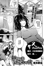 [青木幹治]姉ちゃんの逆恨みっくす [中国翻訳]