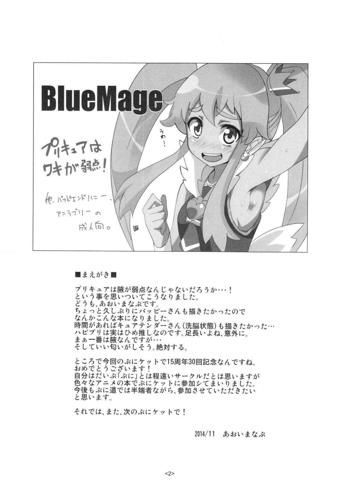 (Puniket 30) [BlueMage (Aoi Manabu)] Precure wa Ii Nioi ga Suru. (HappinessCharge Precure!)