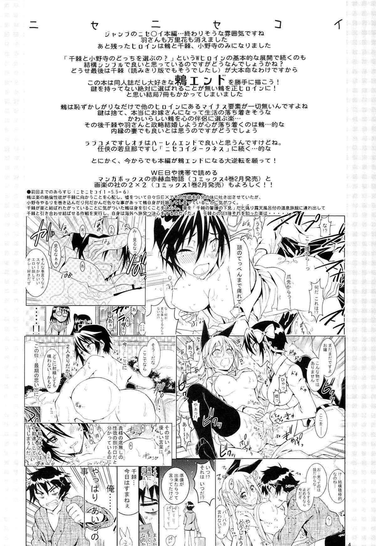 (C89) [Project Harakiri (Kaishaku)] Nisenisekoi 7 (Nisekoi)