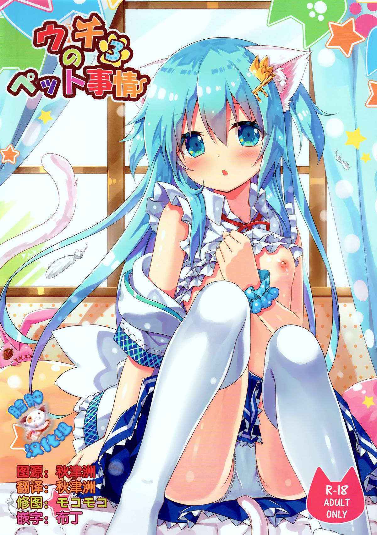 (C89) [Animal Herb (Yano Mitsuki)] Uchi no Pet Jijou 3 [Chinese] [脸肿汉化组]