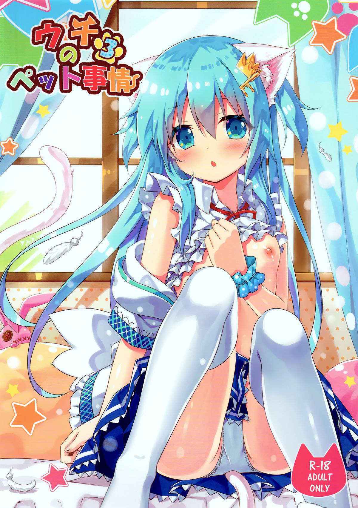 (C89) [Animal Herb (Yano Mitsuki)] Uchi no Pet Jijou 3 [Chinese] [脸肿汉化组]