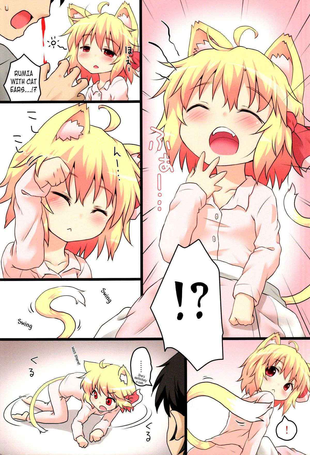 (C84) [Gainamon (Natsu no Koucha)] Nichijou Seikatsu -San- (Touhou Project) [English] {biribiri}