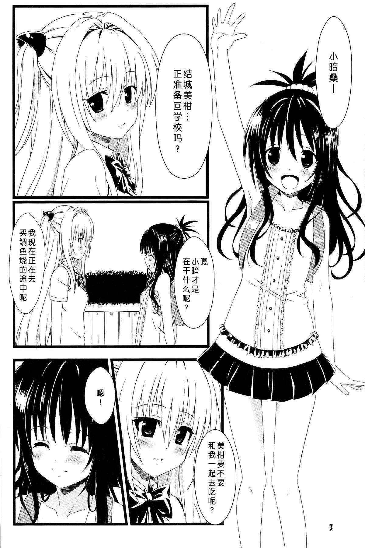 (C83) [Kaminari-neko (Eitarou)] Yami no Yami. (To LOVE-Ru) [Chinese] [天魔的黑兔个人汉化]