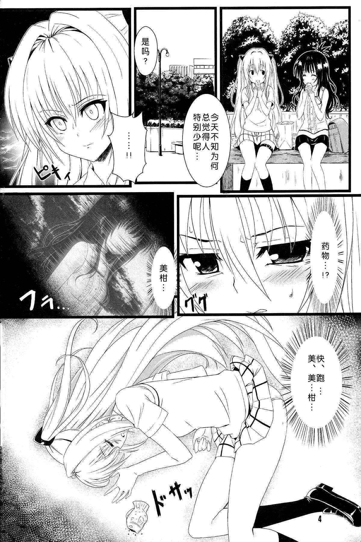 (C83) [Kaminari-neko (Eitarou)] Yami no Yami. (To LOVE-Ru) [Chinese] [天魔的黑兔个人汉化]