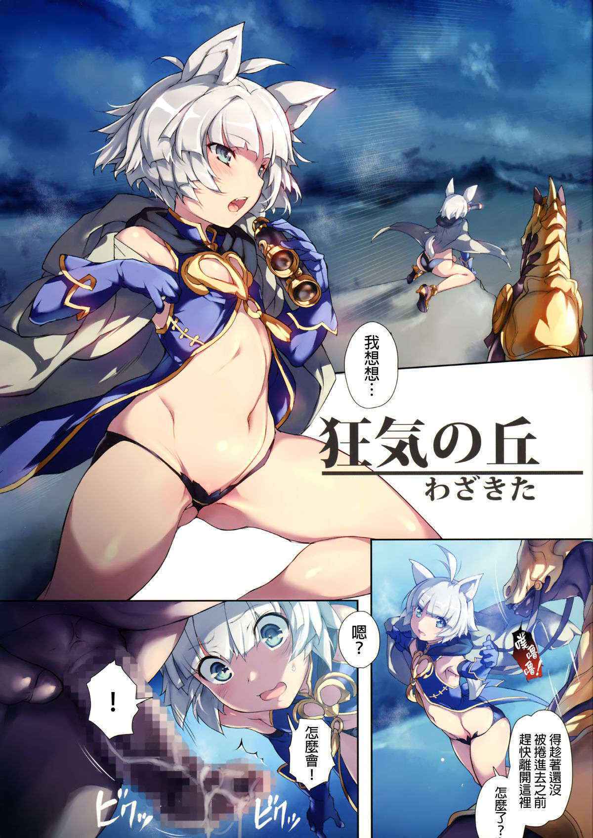 (C88) [Chesha Neko no Yakata, Shokuan (Wazakita, Shokushu-san)] Himekemono no Musume (TERA The Exiled Realm of Arborea) [Chinese] [final個人漢化]