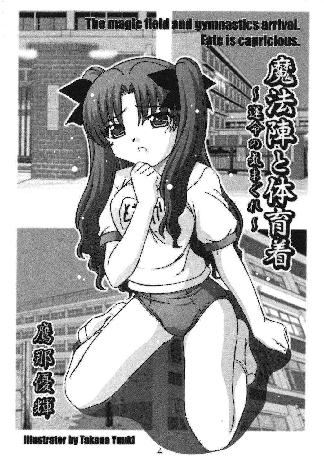 (C67) [Studio Wallaby (Takana Yu-ki)] SECRET FILE NEXT 11 - Fate is capricious (Fate/stay night) [English] [CGrascal]