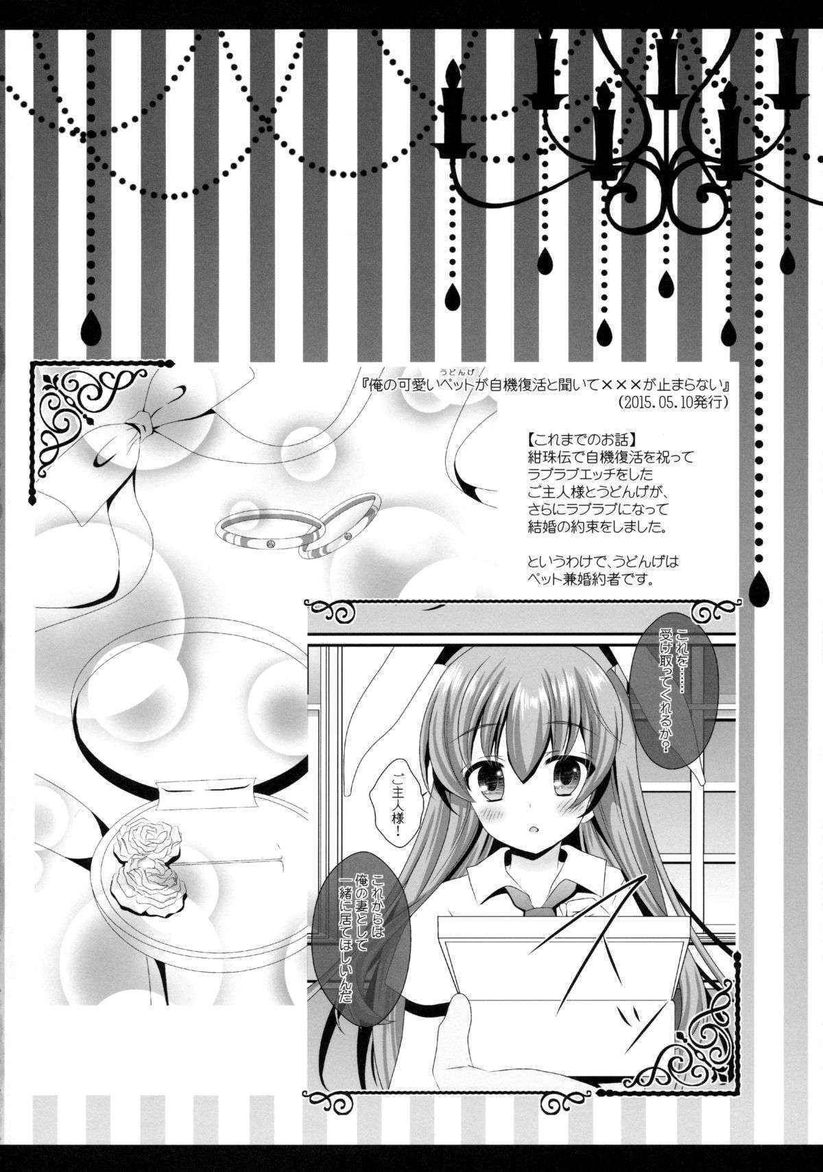 (Kouroumu 11) [Setoran (Itou Seto, Tanno Ran)] Ore no Chou Kawaii Udonge ga Itoshikute Ikura demo Retry Dekiru!! (Touhou Project)