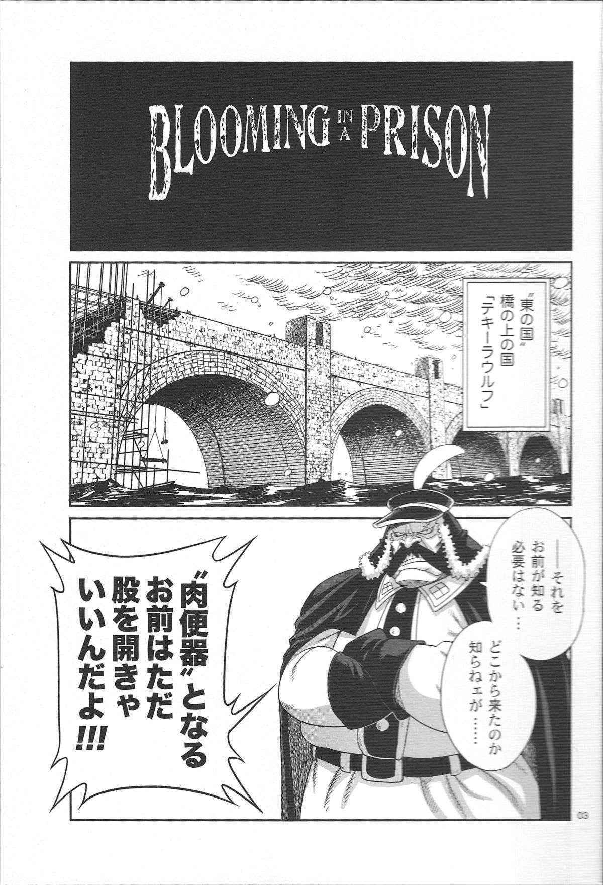 (ComiComi13) [Rojiura Jack (Jun)] Blooming In A Prison (One Piece)