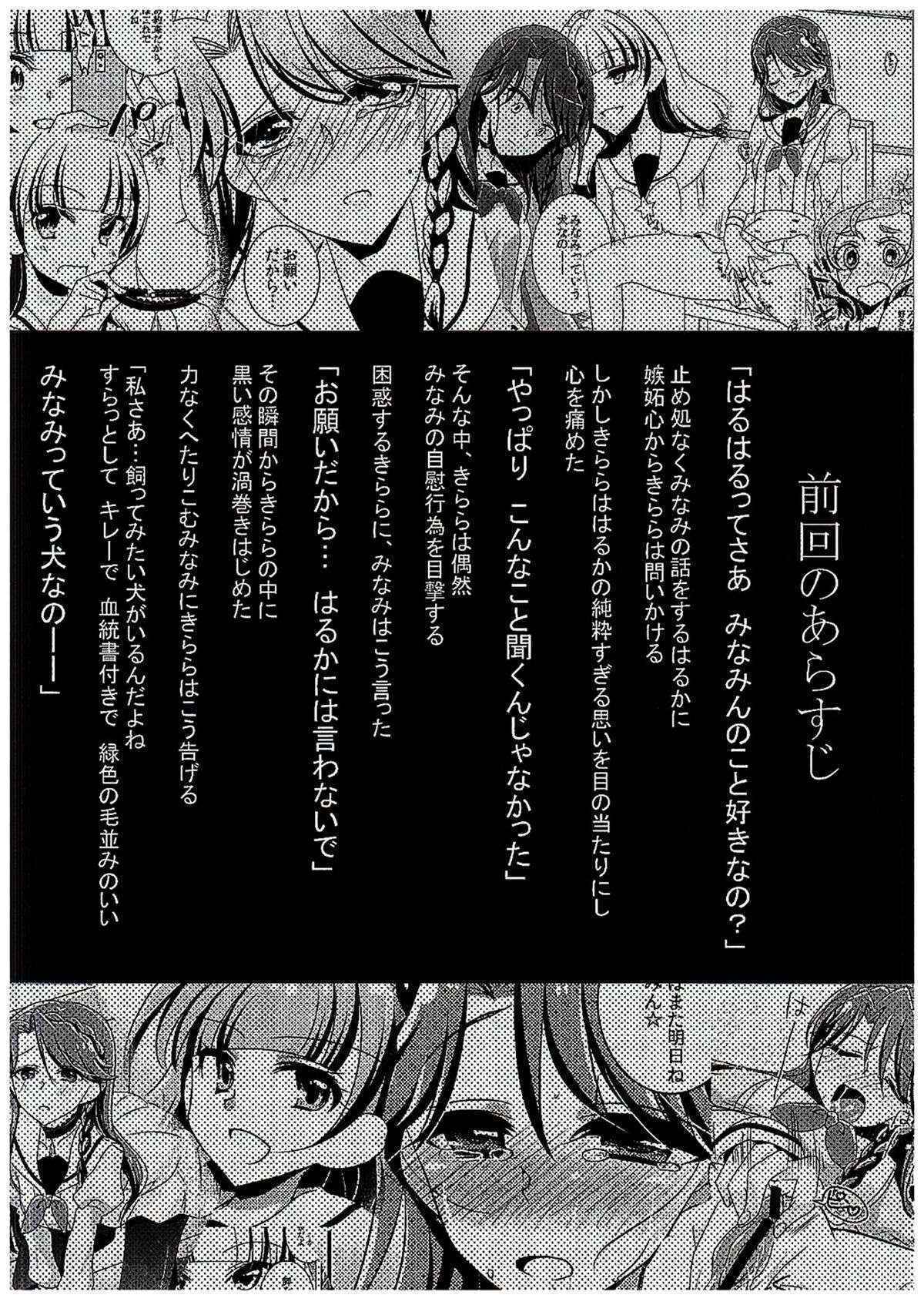 (C89) [Rope Island (Miyanoyuki)] Zettai Zetsumei Part2 (Go! Princess PreCure) [Chinese] [沒有漢化]