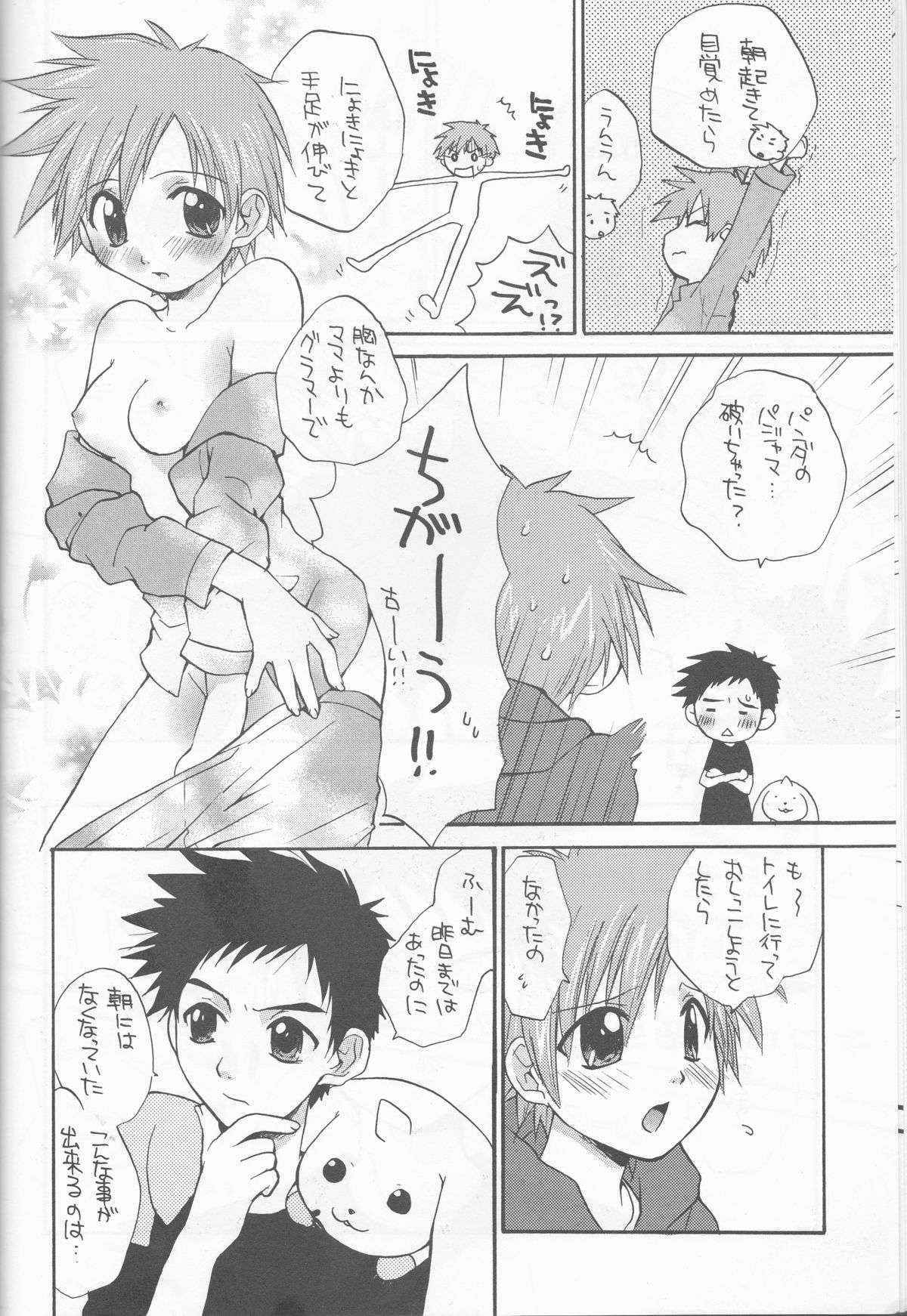 (C63) [Funazushi Bazooka (Sugioka Hiroyuki, Shamon, Amu)] Princess Takato (Digimon Tamers)