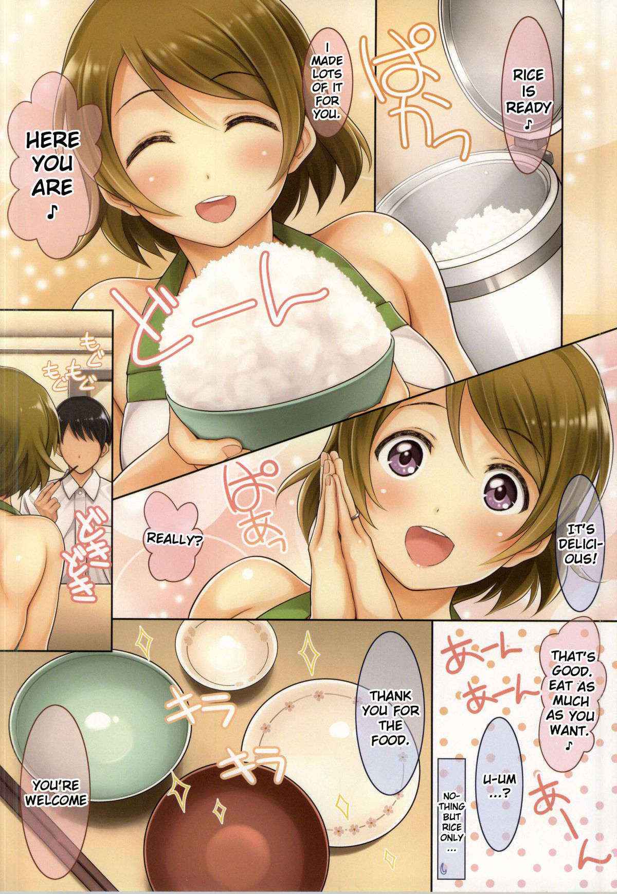 (C87) [Serizawa-Room (Serizawa)] Niizuma Hanayo-chan (Love Live!) [English] [h0henD]