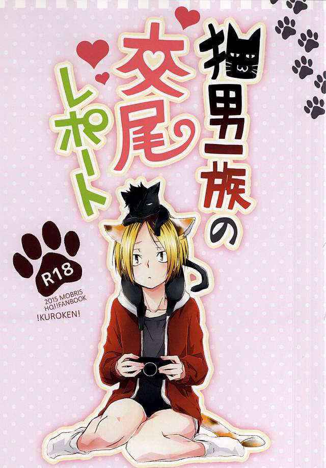 (RTS!!5) [MOBRIS (Tomoharu)] Neko Otoko Ichizoku no Koubi Report (Haikyuu!!)