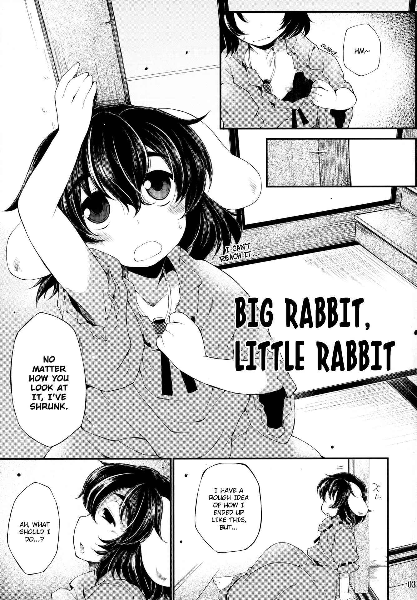 (C87) [IncluDe (Foolest)] Ookina Usagi Chiisana Usagi | Big Rabbit, Little Rabbit (Touhou Project) [English] [rqwrqw]