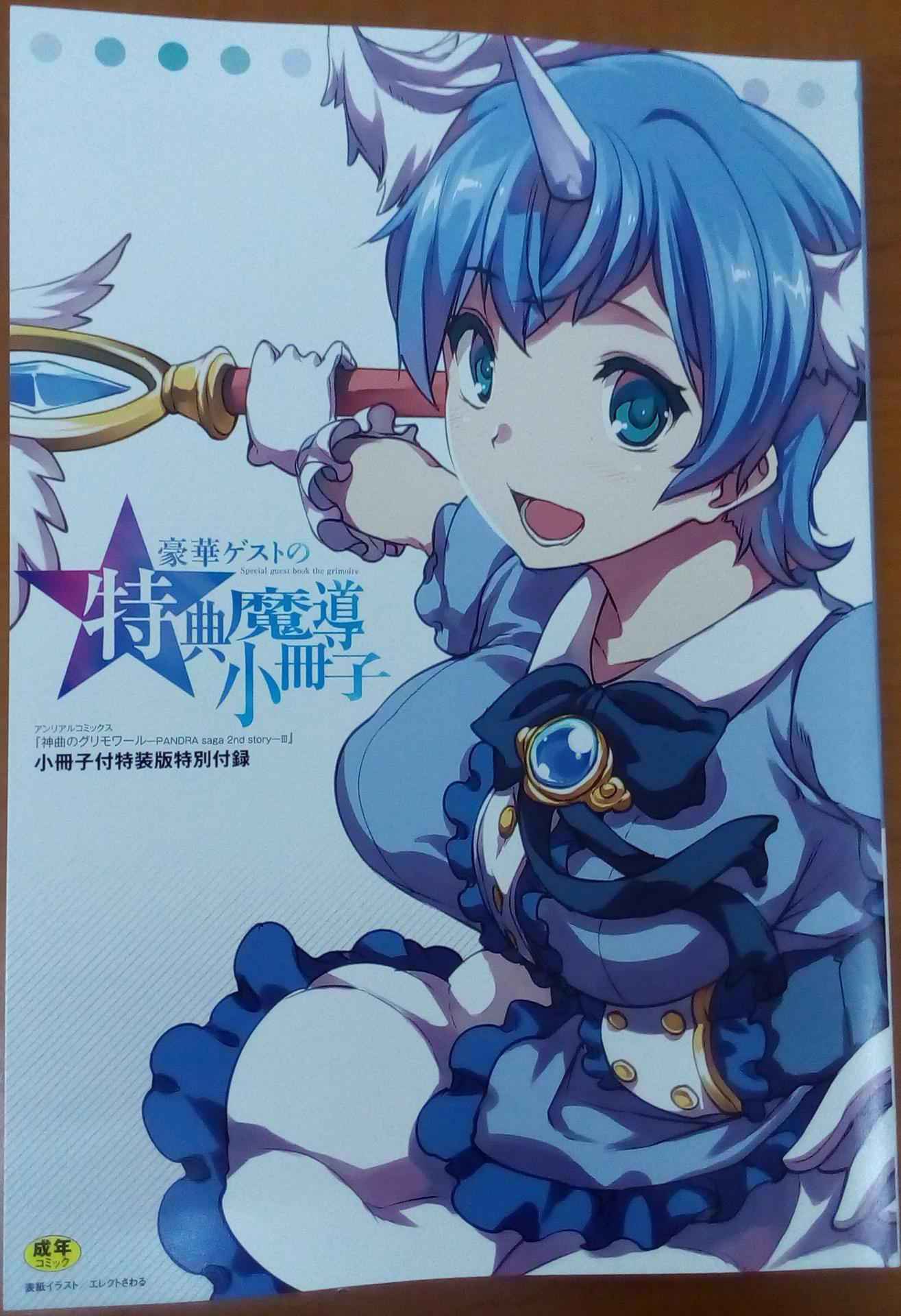 [Erect Sawaru] Shinkyoku no Grimoire III -PANDRA saga 2nd story-  Append book [Photoed]