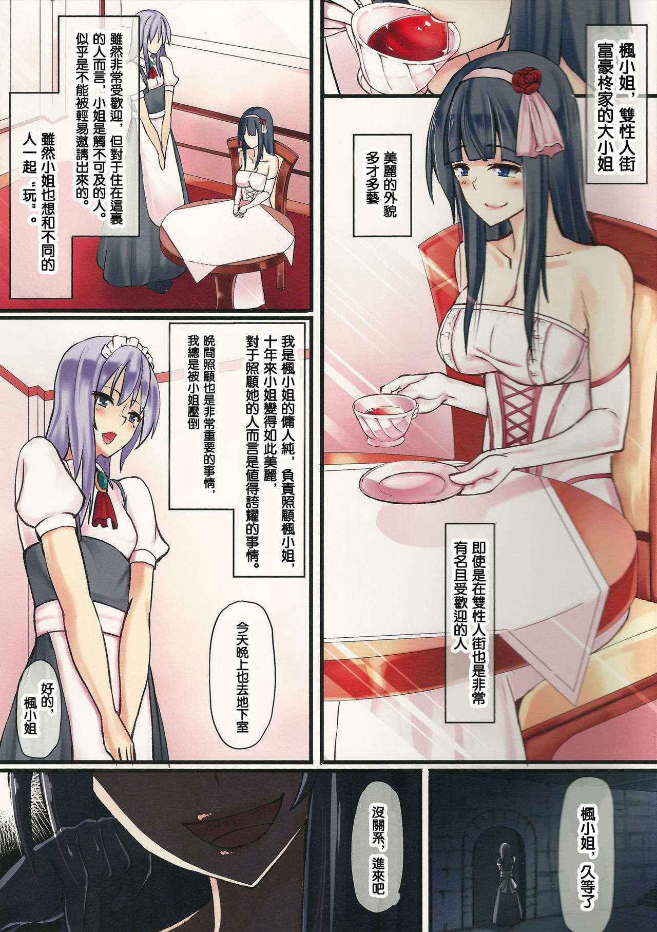 (Futaket 11) [Tapioca Box (Nyuuhin)] Ojou-sama to Shiyounin [Chinese] [沒有漢化]