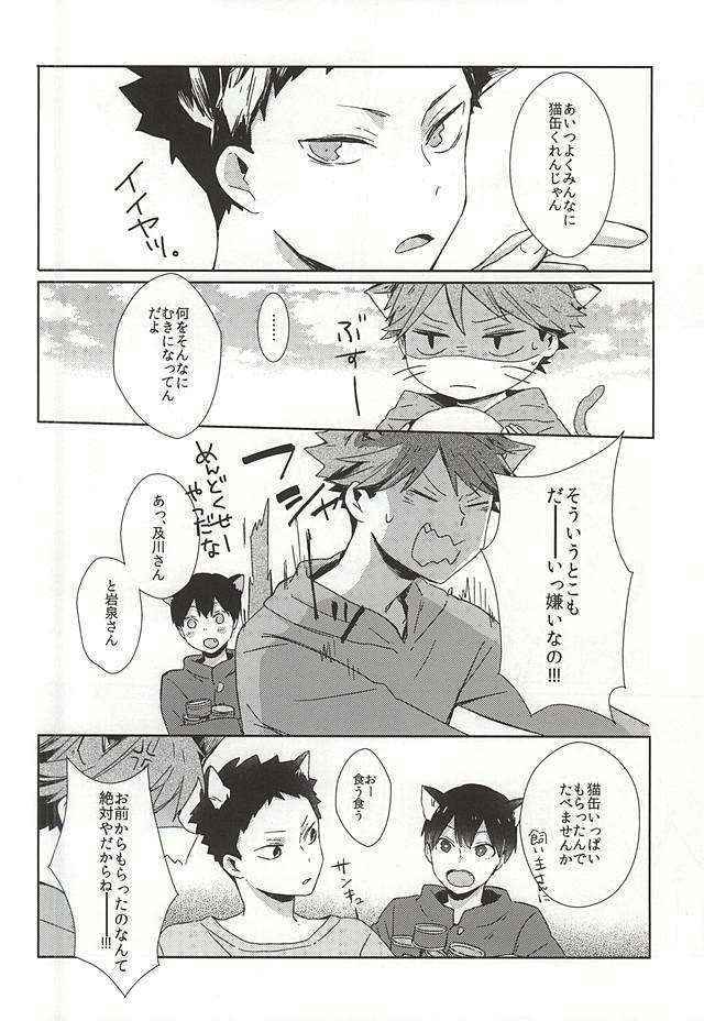 (RTS!!5) [Shounen-H (Yuuki)] Neko ni Natta Oikawa-san (Haikyuu!!)