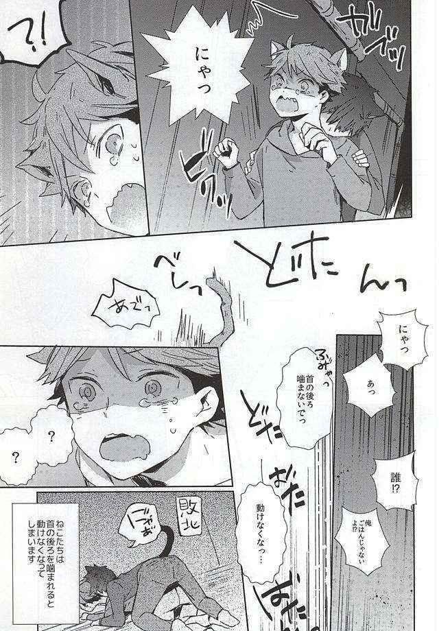 (RTS!!5) [Shounen-H (Yuuki)] Neko ni Natta Oikawa-san (Haikyuu!!)