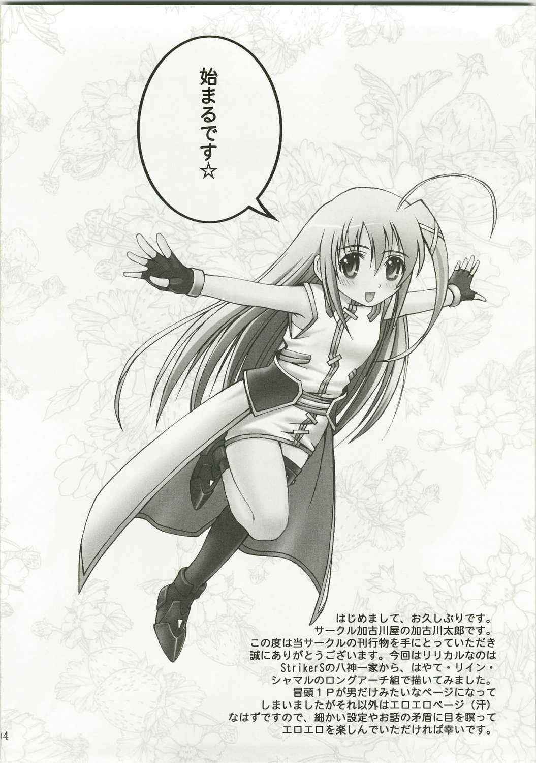 [KAKOGAWA-YA] Party Bullets (nanoha)