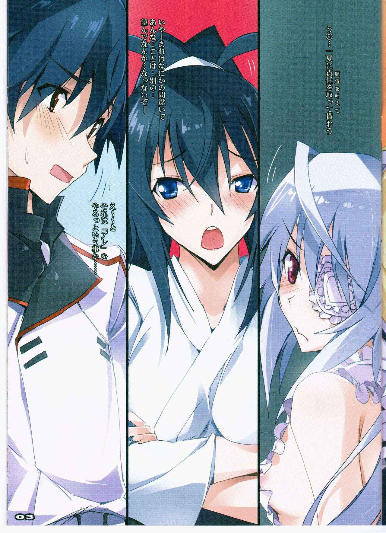 (C88) [Ryu-Seki-Do (Nagare Hyougo)] Desire Purge (IS <Infinite Stratos>)