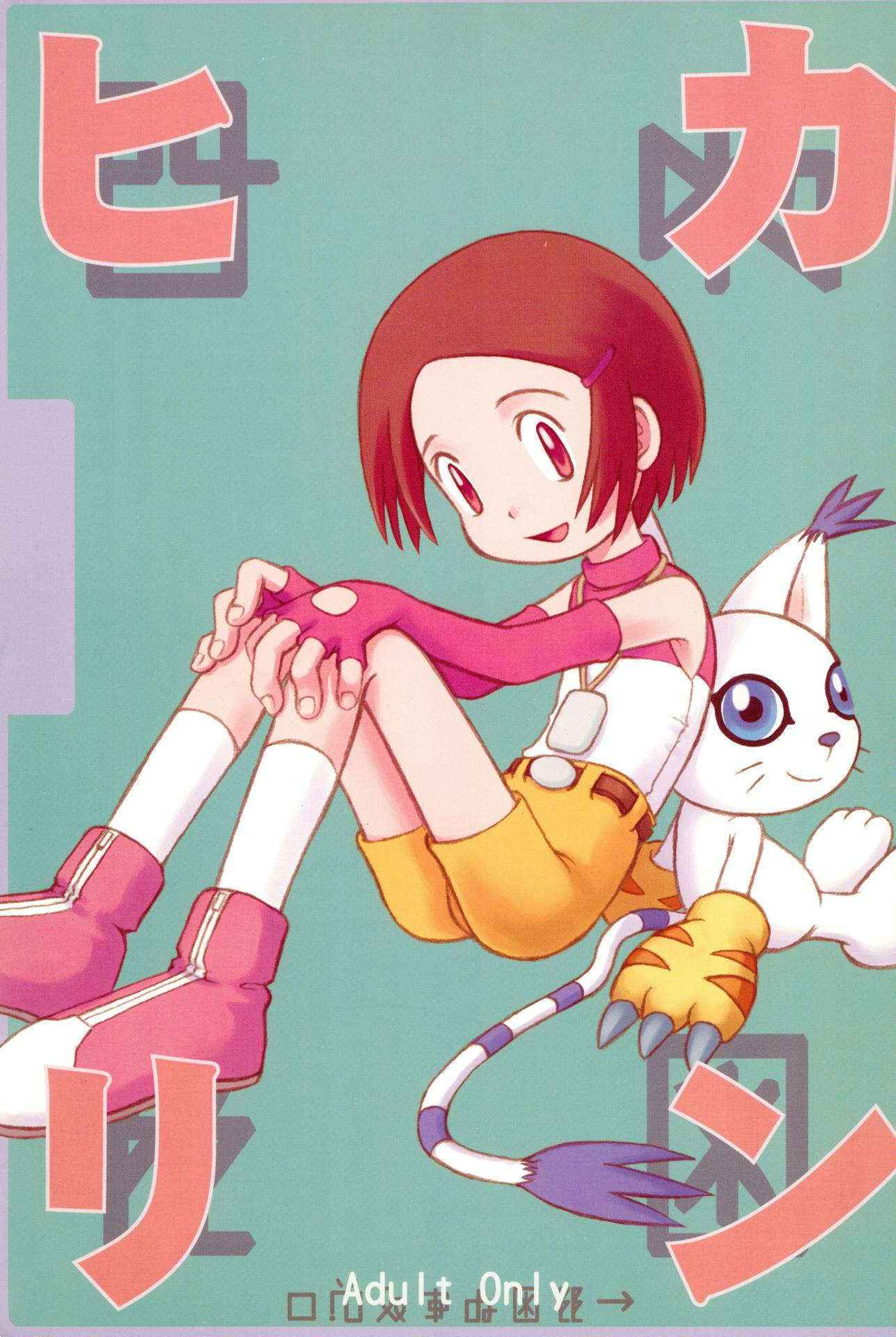 (C58) [Hitosuji Nawa (Ryo Kumagaya)] Hikarin (Digimon)