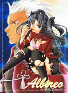 (Mimiket 10) [RED DATA BOOK (Amano Ryuuki)] Albireo (Fate stay night)