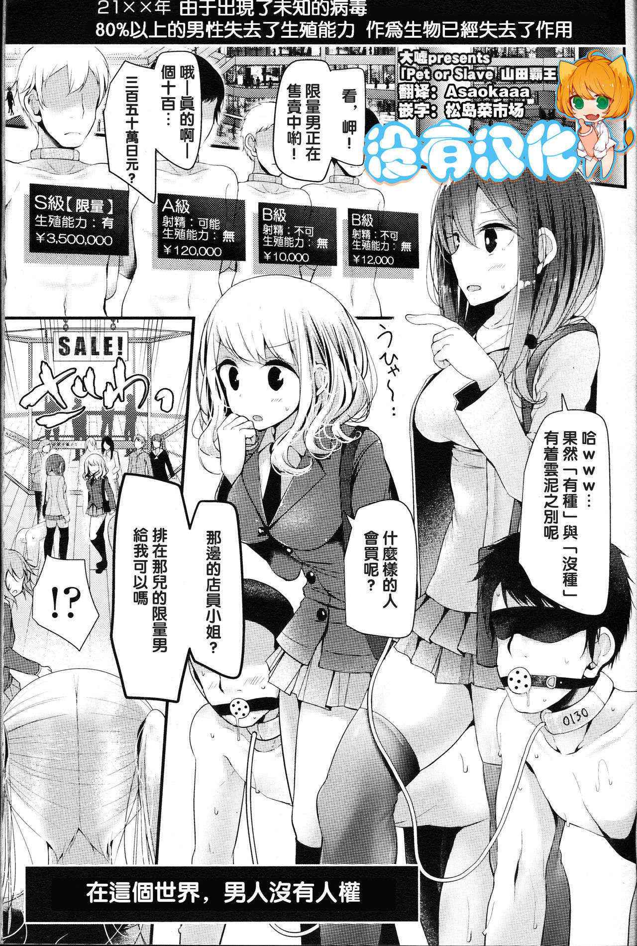 [大嘘] Pet or Slave 山田覇王花の場合 (Girls forM Vol. 12) [Chinese] [沒有漢化]