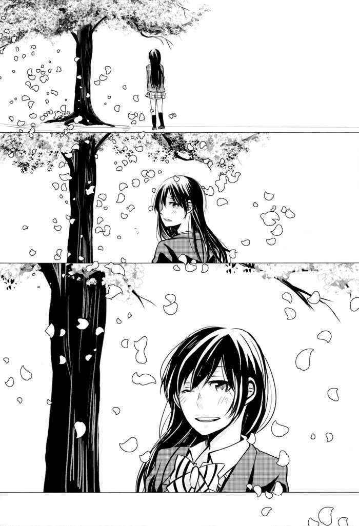 Sakura Mau Kimi O Omou | Thinking Of You Amidst The Fluttering Cherry Blossoms