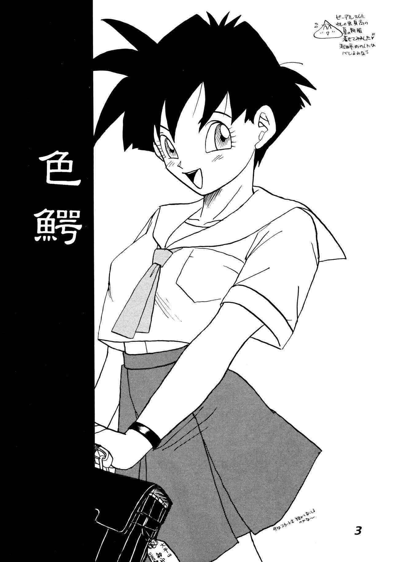 (C52) [Fusuma Goten (Shouji Hariko)] Irohani (Dragonball Z)