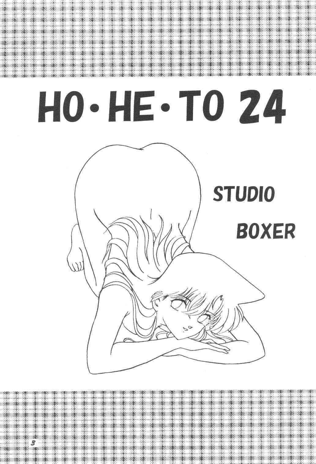 [Studio Boxer] Ho He To 24 (Meitantei Conan)