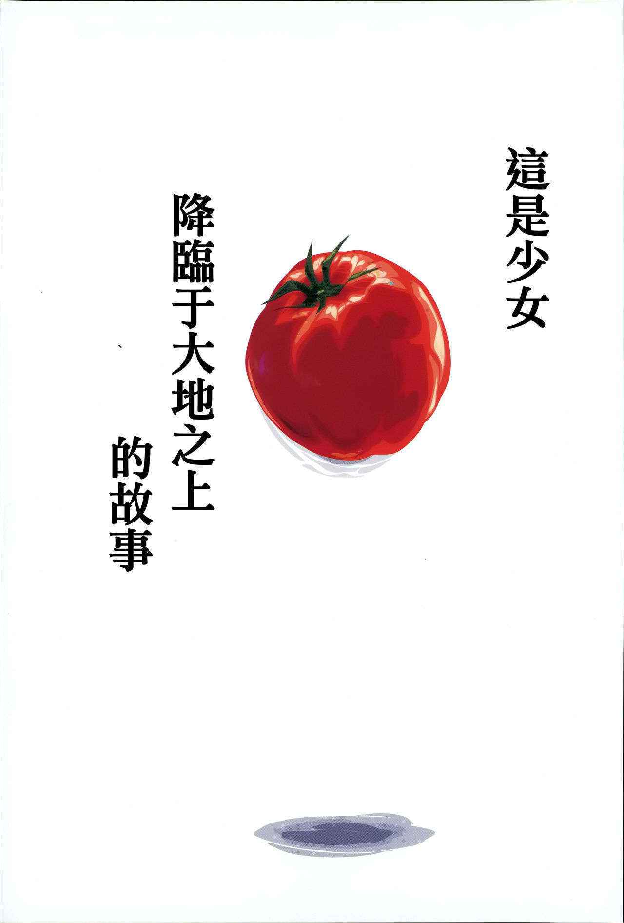 [Hanauna] Daichi ni Tadoritsuku Made ni [Chinese] [篆儀通文書坊漢化]