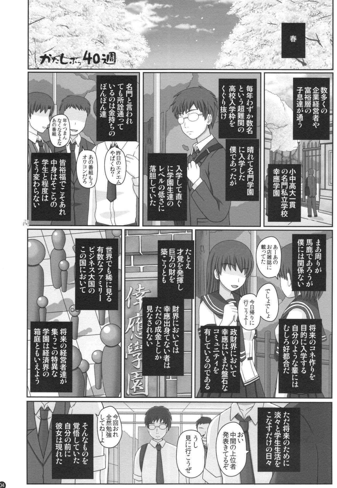 (C88) [Shiawase Kyouwakoku (Shiawase no Katachi)] Katashibu 40-shuu + Kaijou Genteibon