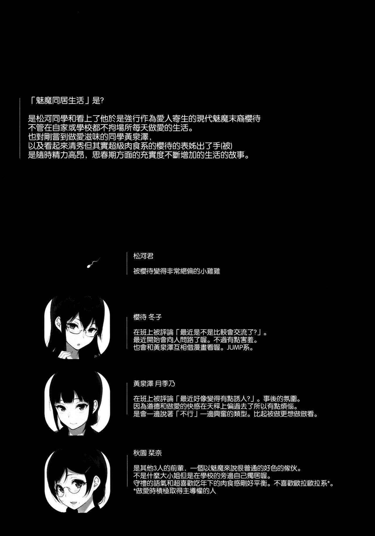 (C90) [NANIMOSHINAI (Sasamori Tomoe)] Succubus Stayed Life 4 [Chinese] [空気系☆漢化]