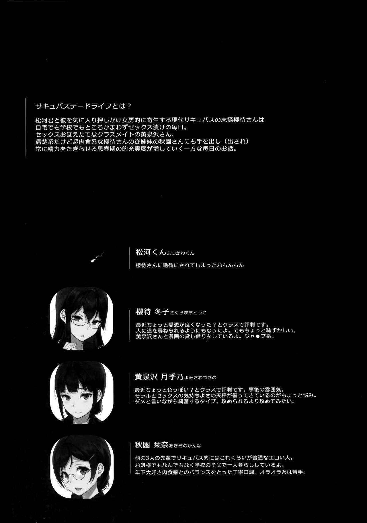 (C90) [NANIMOSHINAI (Sasamori Tomoe)] Succubus Stayed Life 4