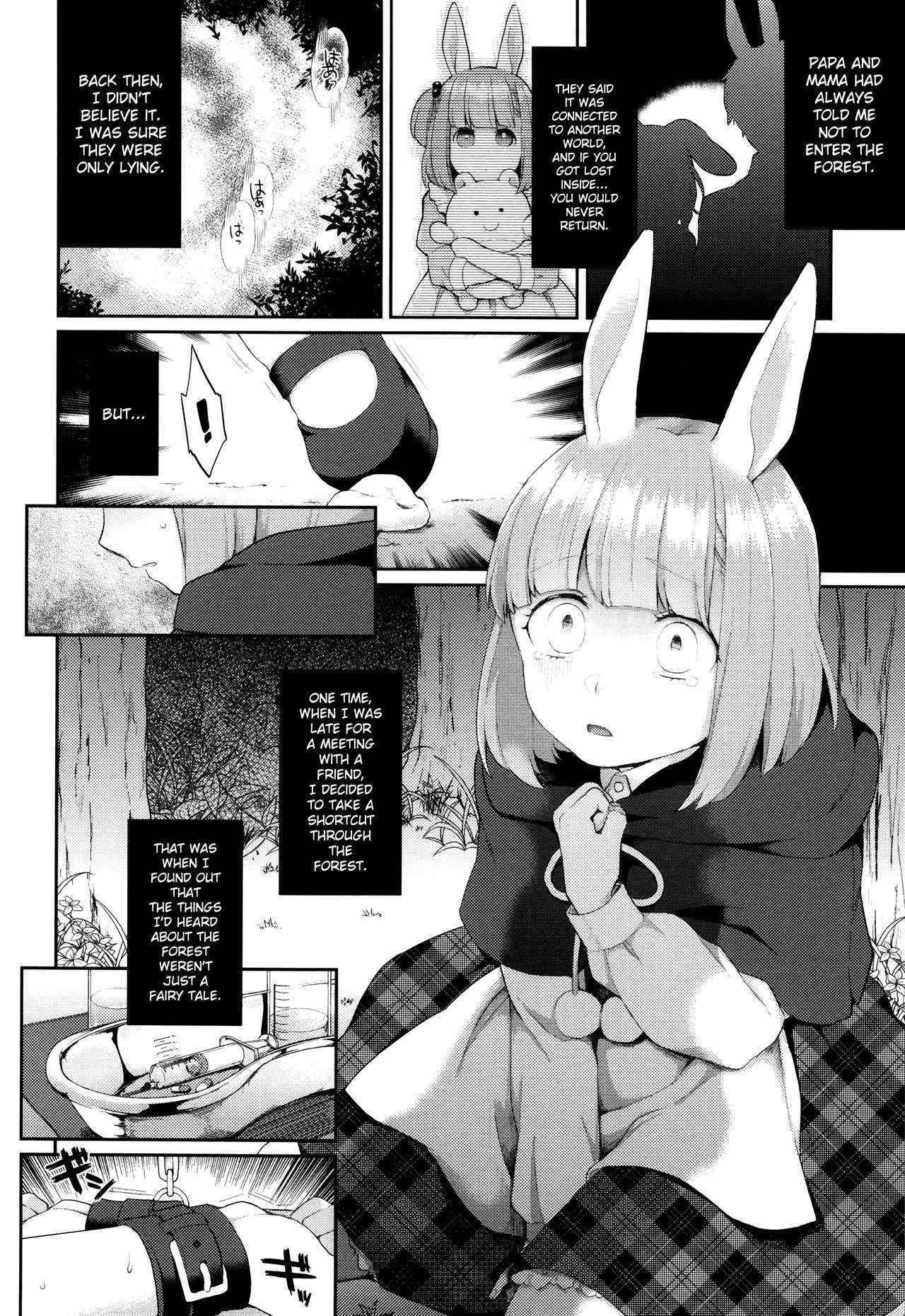 [majoccoid] Rabbit Hole (Yume miru Slave) [English] {NecroManCr}