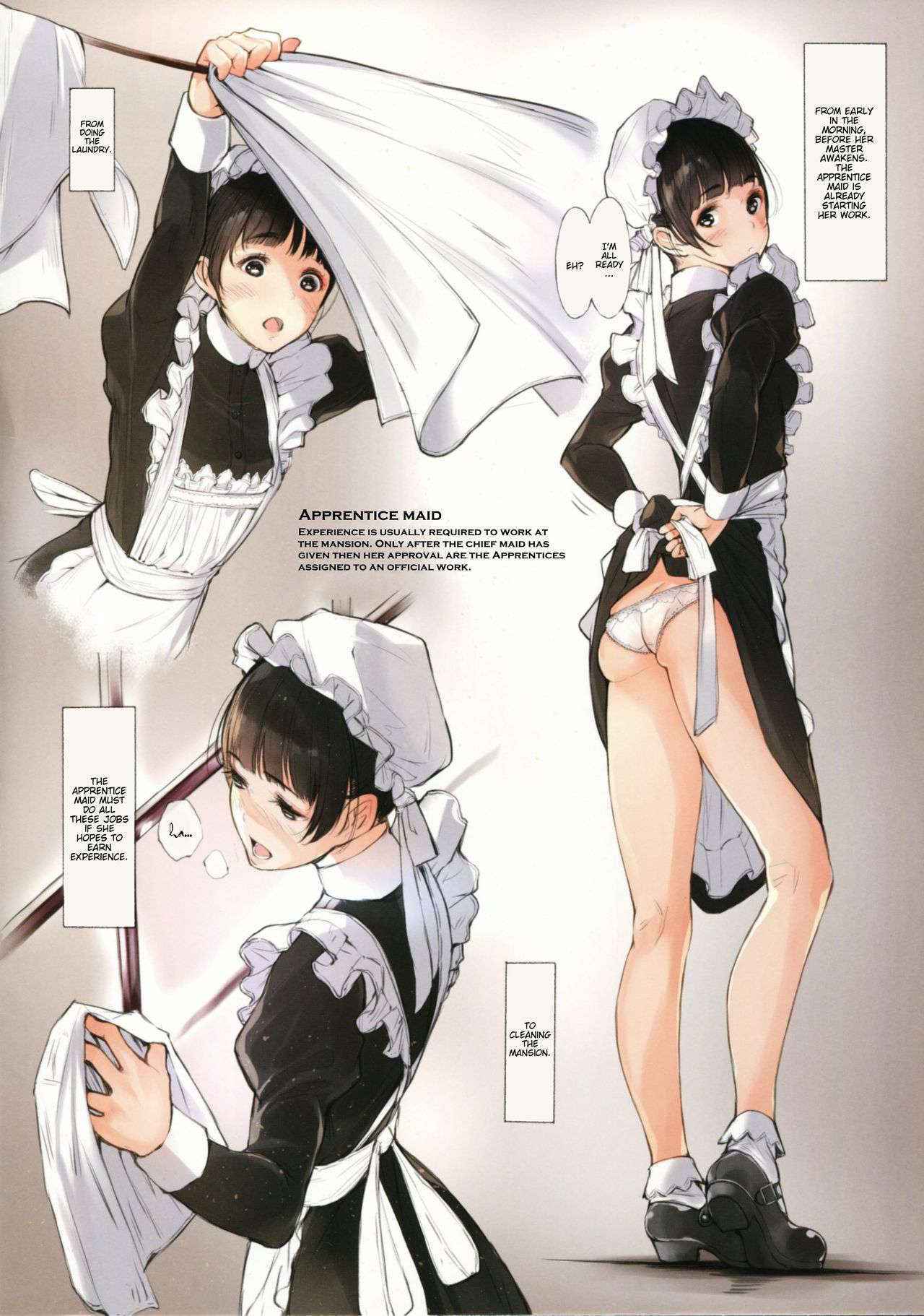 (C89) [Kuragamo (Tukinowagamo)] MAID IROIRO [English]