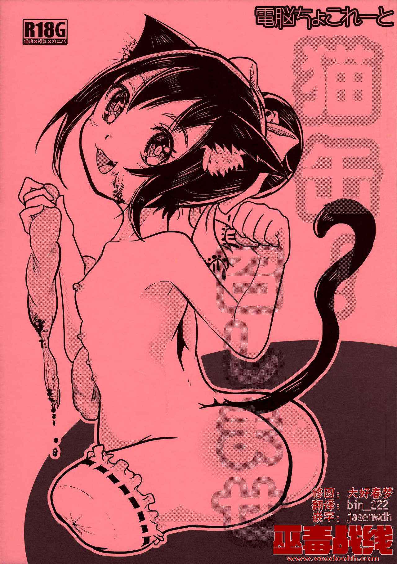 (ABnormal Comic Day! 2)[Dennou Chocolate (AwA)]Nekokan! Meshimase[Chinese][巫毒汉化组]