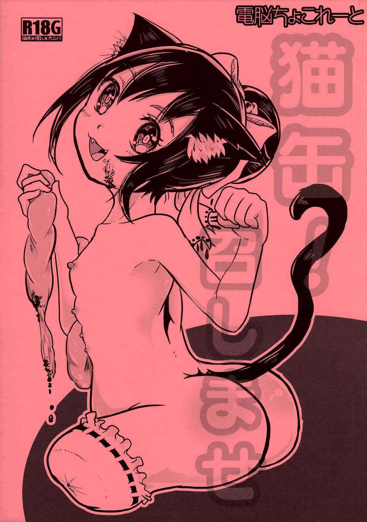 (ABnormal Comic Day! 2)[Dennou Chocolate (AwA)]Nekokan! Meshimase[Chinese][巫毒汉化组]