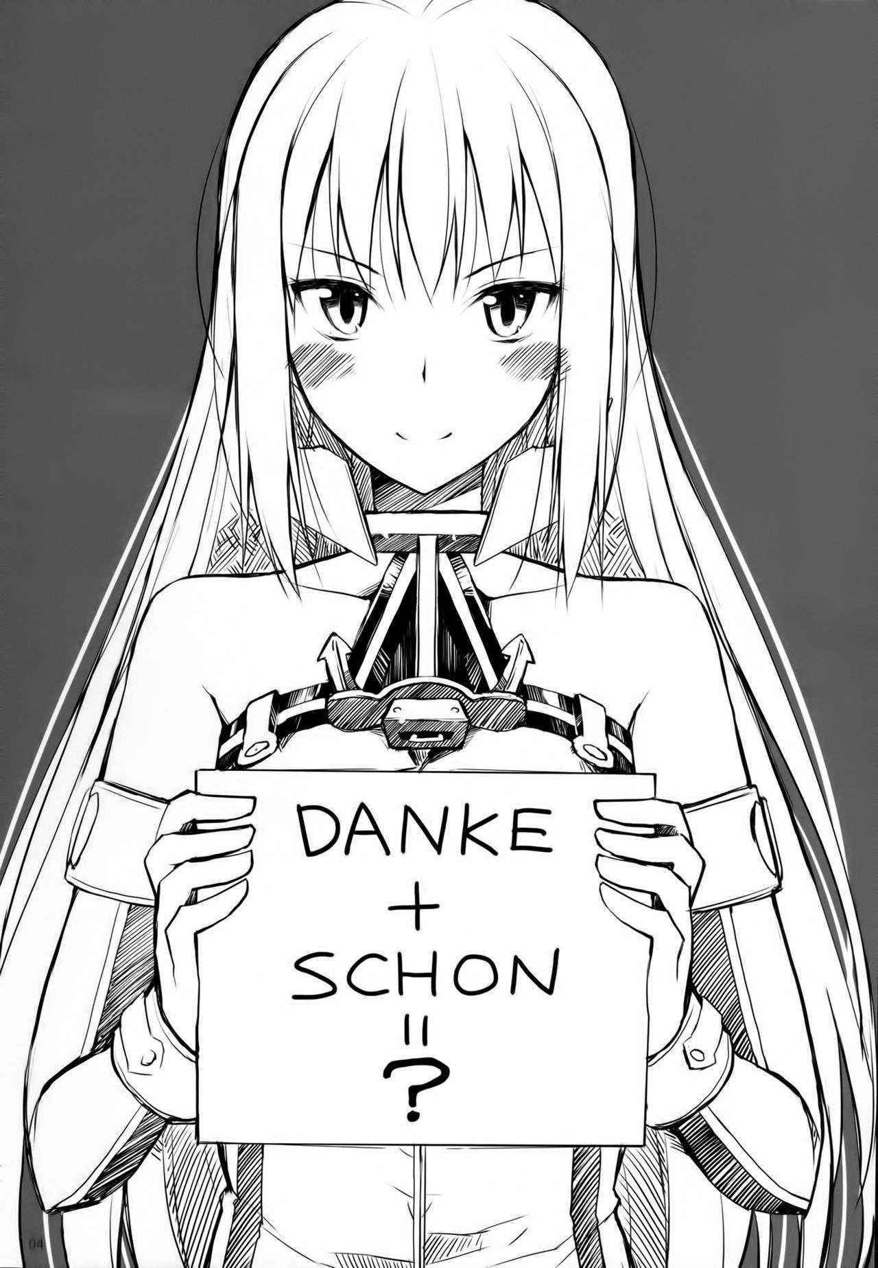 (C90) [Digital Flyer (Oota Yuuichi)] DANKE+SCHON (Kantai Collection -KanColle-)