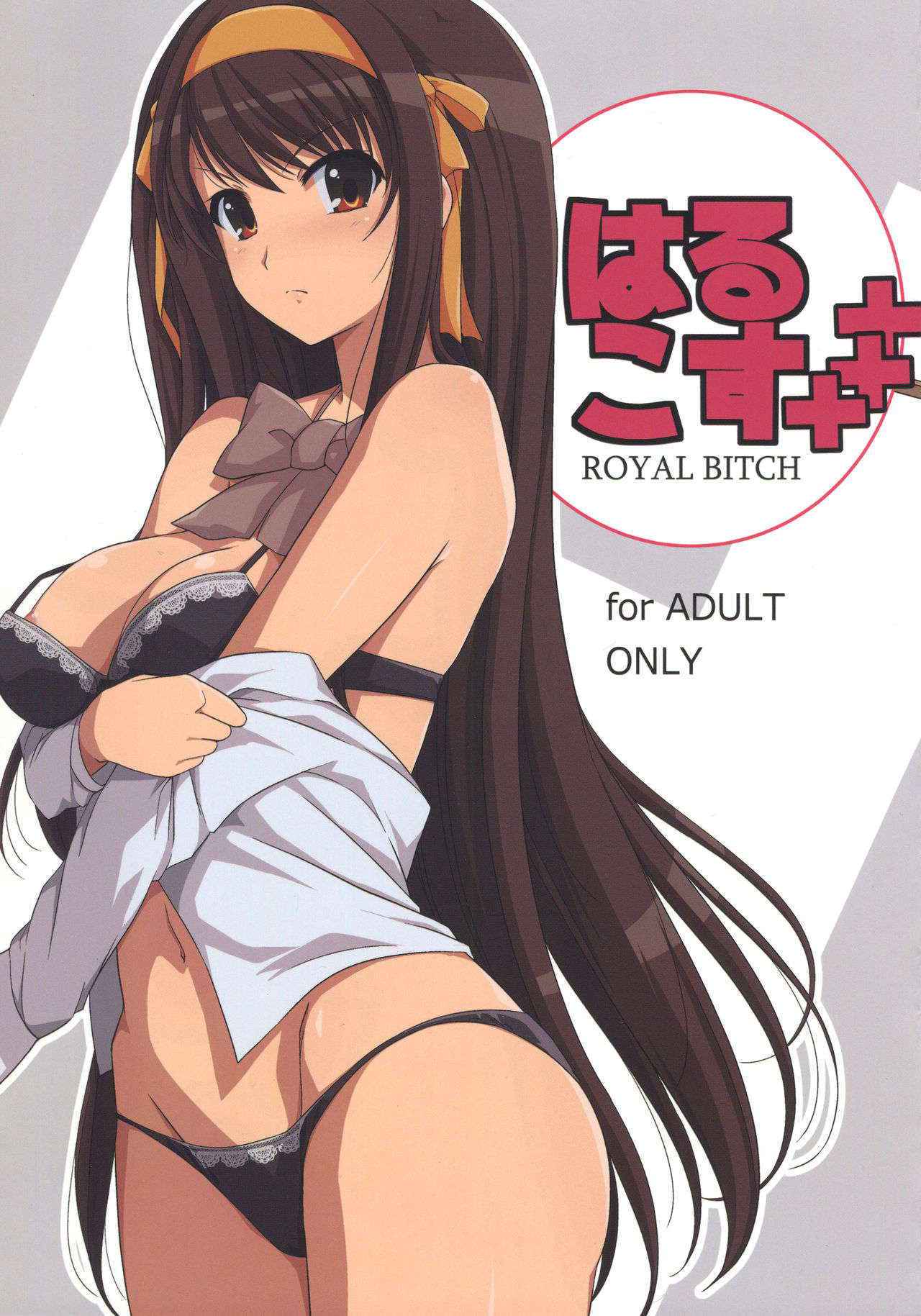 (C90) [Royal Bitch (haruhisky)] HARUCOS+++ (Suzumiya Haruhi no Yuuutsu)