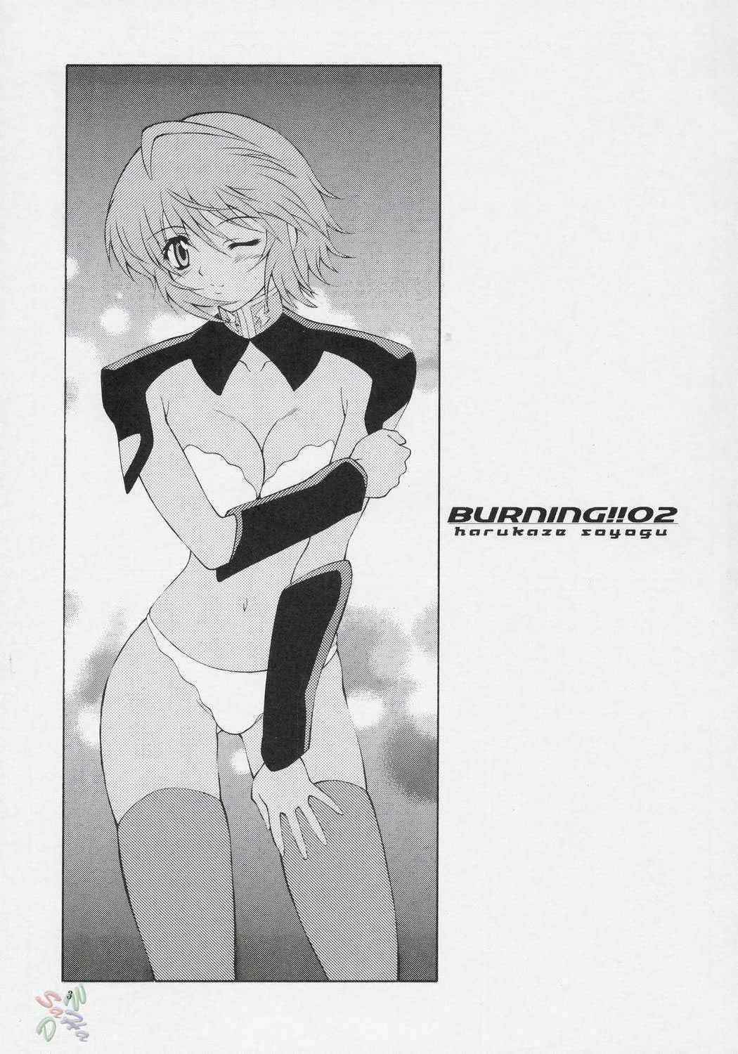 Gundam Seed Destiny - BURNING!! 02 [English]