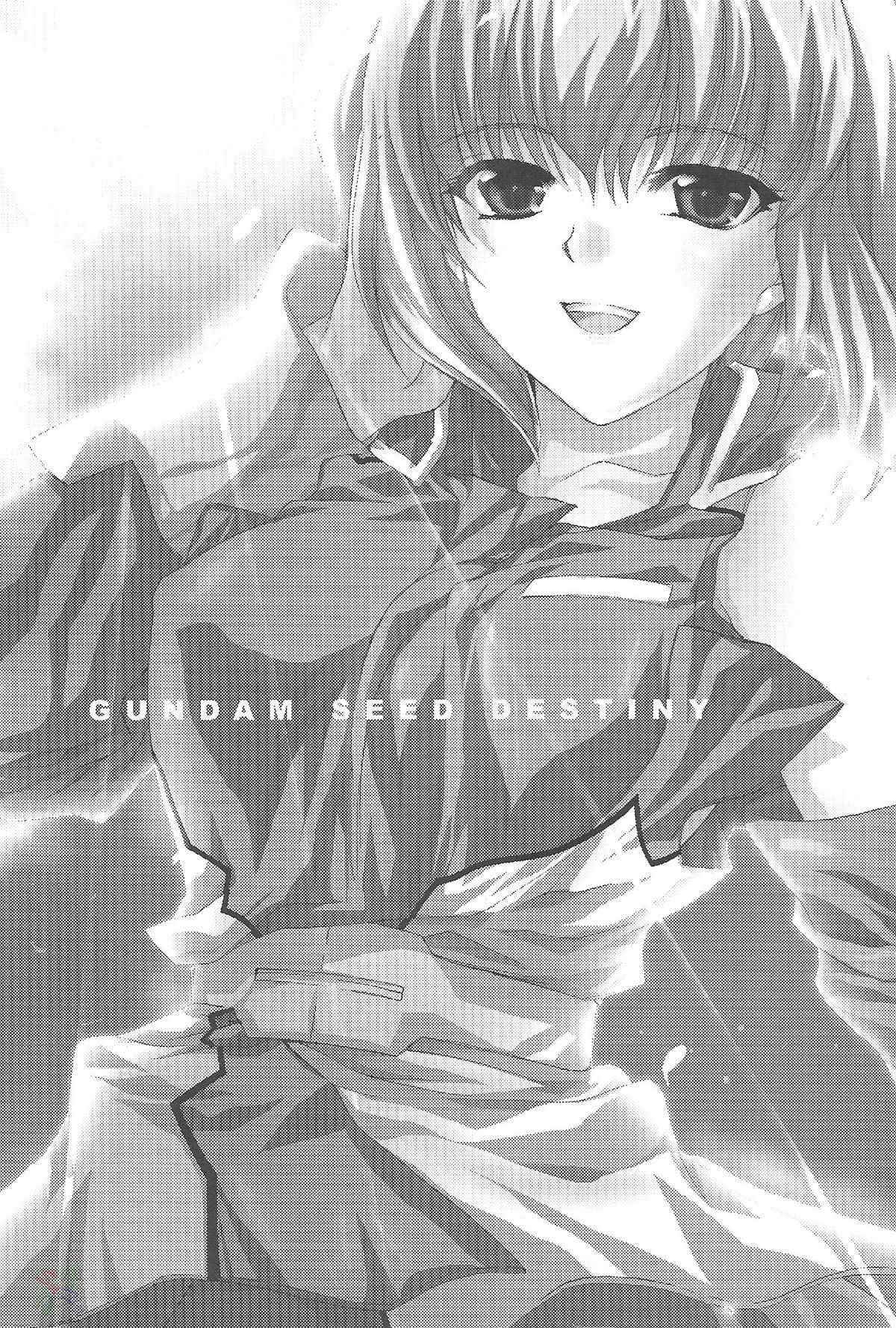 [FANTASY WIND] L-S (Kidou Senshi Gundam Seed Destiny) [English]