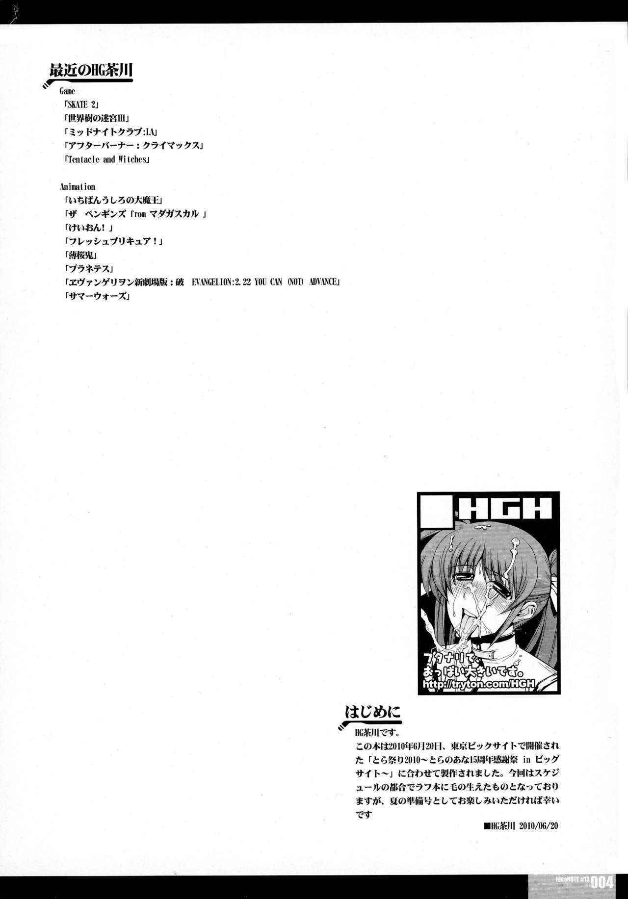 (Lyrical Magical 09) [HGH (HG Chagawa)] Idea NOTE #13 (Magical Girl Lyrical Nanoha)