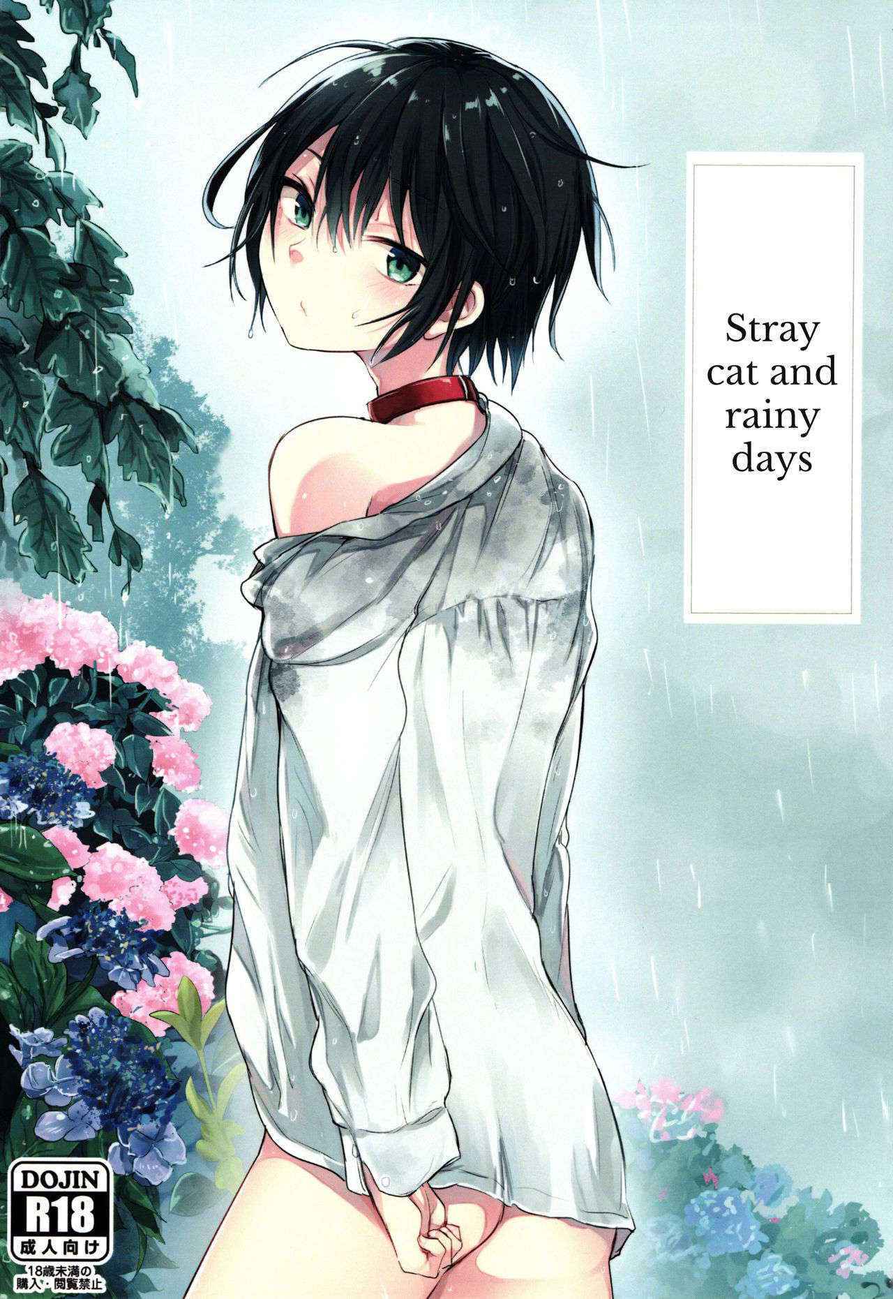 [Aoiro Ichiza (Aoiro Ichigou)] Nora Neko to Rainy Days [English] {Shotachan}